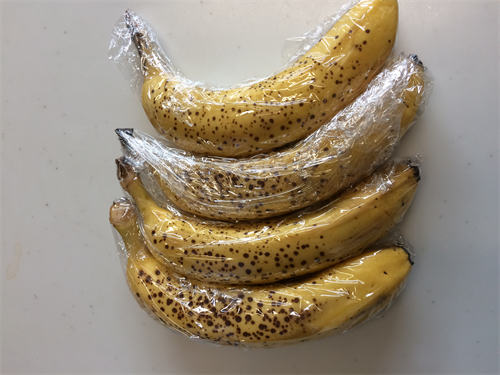 bananahozon (1)_R